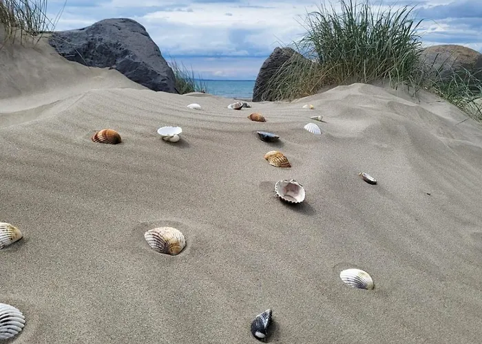 L'escale Mobil'home Giana Kemp