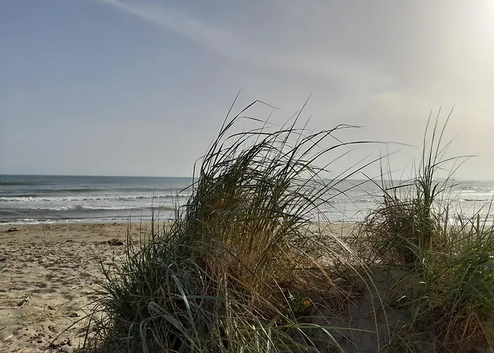 L'escale Mobil'home Giana Kemp Agde