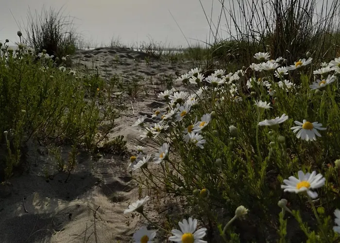 L'escale Mobil'home Giana * Agde